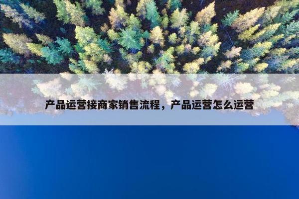 产品运营接商家销售流程，产品运营怎么运营