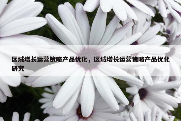 区域增长运营策略产品优化，区域增长运营策略产品优化研究