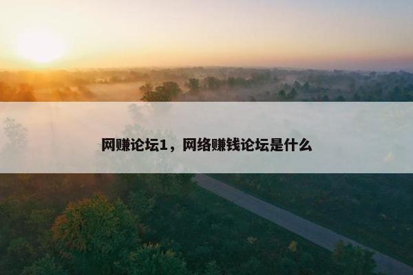 网赚论坛1，网络赚钱论坛是什么