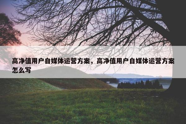 高净值用户自媒体运营方案，高净值用户自媒体运营方案怎么写