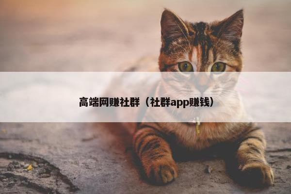 高端网赚社群（社群app赚钱）