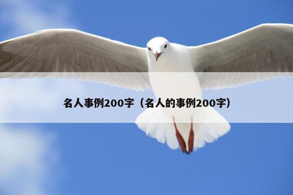 名人事例200字（名人的事例200字）
