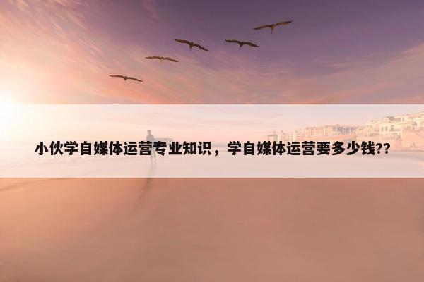 小伙学自媒体运营专业知识，学自媒体运营要多少钱??