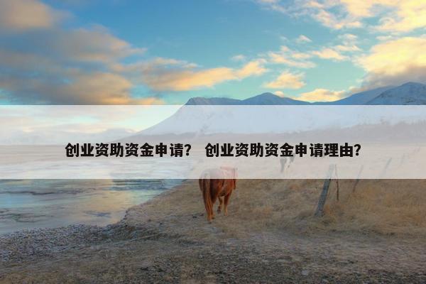创业资助资金申请？ 创业资助资金申请理由？