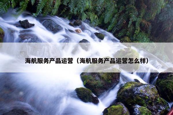 海航服务产品运营（海航服务产品运营怎么样）