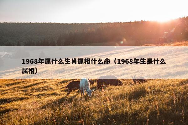 1968年属什么生肖属相什么命（1968年生是什么属相）