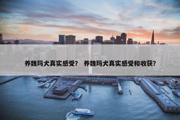 养魏玛犬真实感受？ 养魏玛犬真实感受和收获？