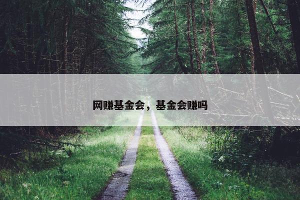 网赚基金会，基金会赚吗