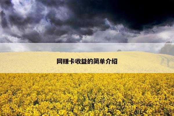 网赚卡收益的简单介绍