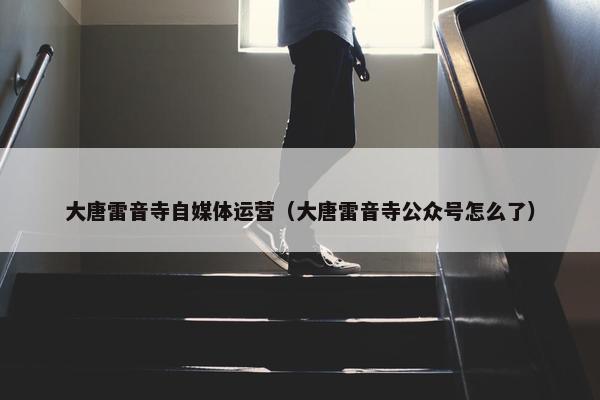 大唐雷音寺自媒体运营（大唐雷音寺公众号怎么了）