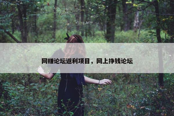 网赚论坛返利项目，网上挣钱论坛