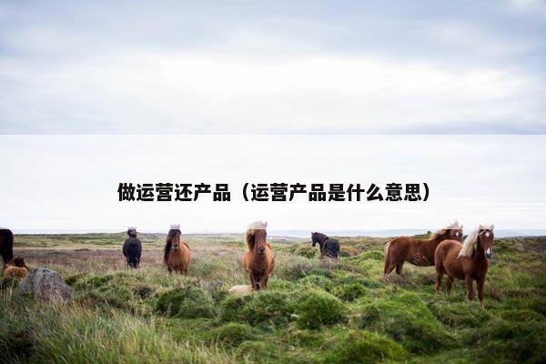 做运营还产品（运营产品是什么意思）
