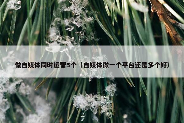 做自媒体同时运营5个（自媒体做一个平台还是多个好）
