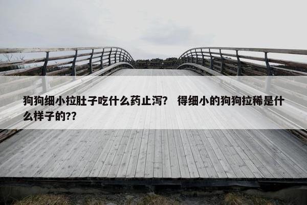狗狗细小拉肚子吃什么药止泻？ 得细小的狗狗拉稀是什么样子的?？