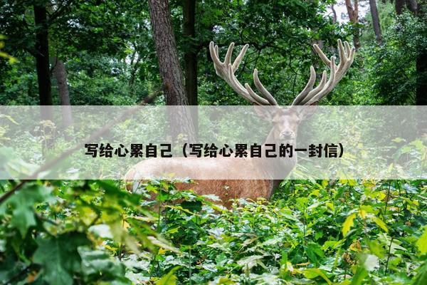 写给心累自己（写给心累自己的一封信）