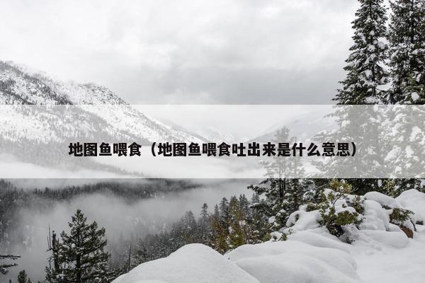 地图鱼喂食（地图鱼喂食吐出来是什么意思）