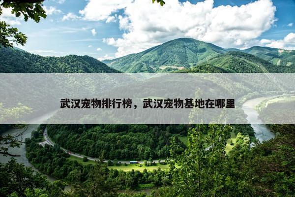 武汉宠物排行榜，武汉宠物基地在哪里