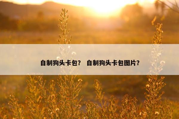 自制狗头卡包？ 自制狗头卡包图片？