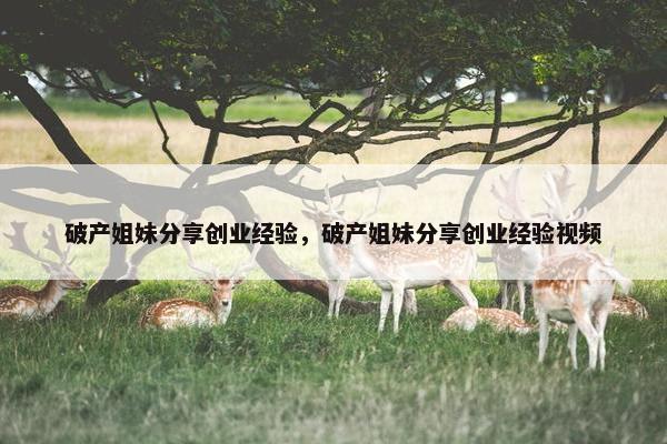破产姐妹分享创业经验，破产姐妹分享创业经验视频