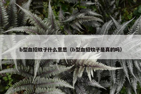 b型血招蚊子什么意思（b型血招蚊子是真的吗）