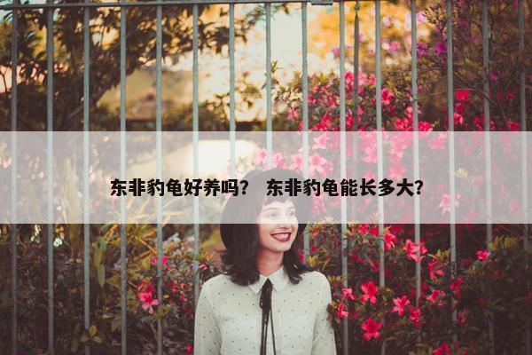东非豹龟好养吗？ 东非豹龟能长多大？