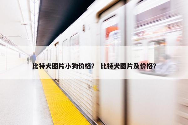 比特犬图片小狗价格？ 比特犬图片及价格？