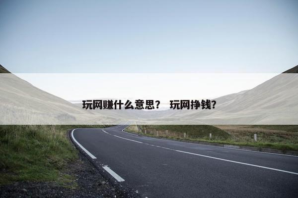 玩网赚什么意思？ 玩网挣钱？