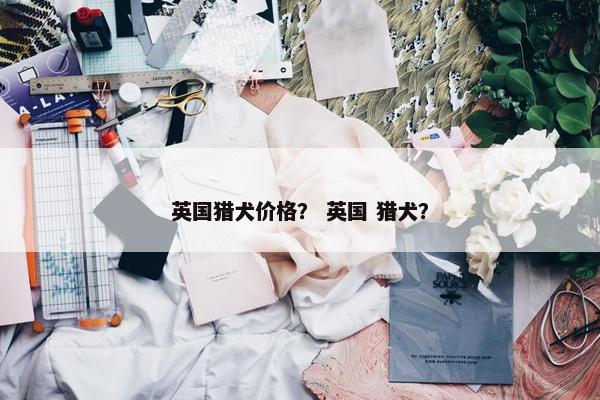 英国猎犬价格？ 英国 猎犬？