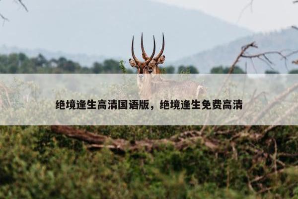绝境逢生高清国语版，绝境逢生免费高清