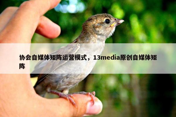 协会自媒体矩阵运营模式，13media原创自媒体矩阵
