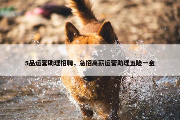 5品运营助理招聘，急招高薪运营助理五险一金