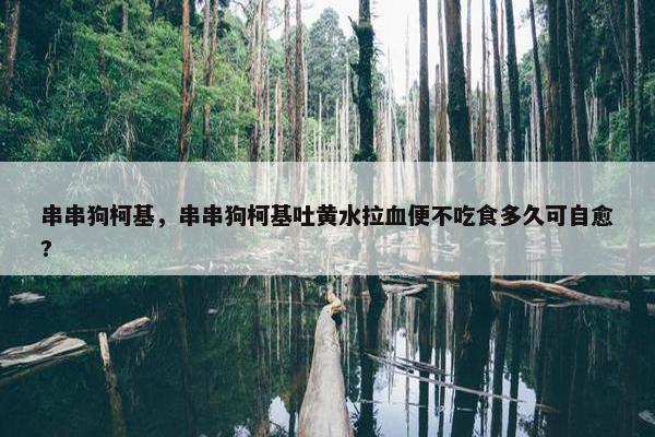 串串狗柯基，串串狗柯基吐黄水拉血便不吃食多久可自愈?