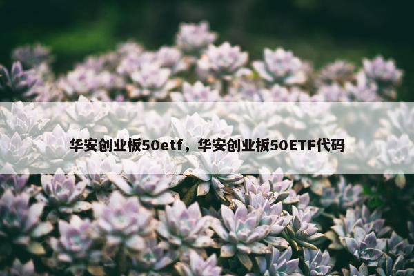 华安创业板50etf，华安创业板50ETF代码