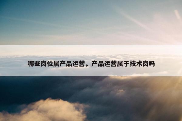 哪些岗位属产品运营，产品运营属于技术岗吗