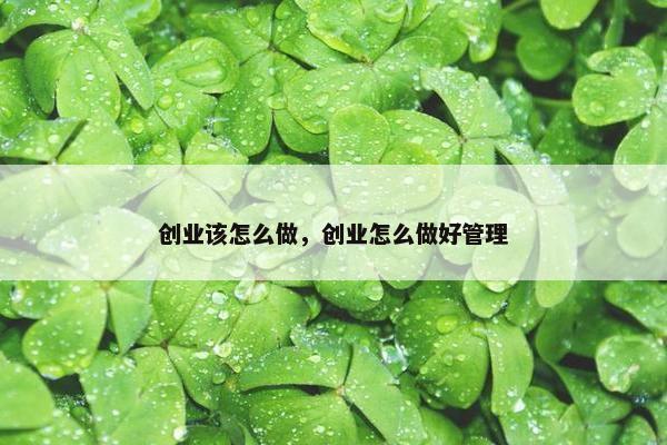创业该怎么做，创业怎么做好管理