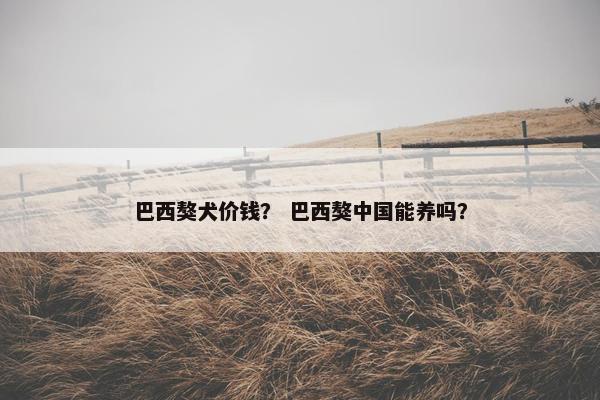 巴西獒犬价钱？ 巴西獒中国能养吗？