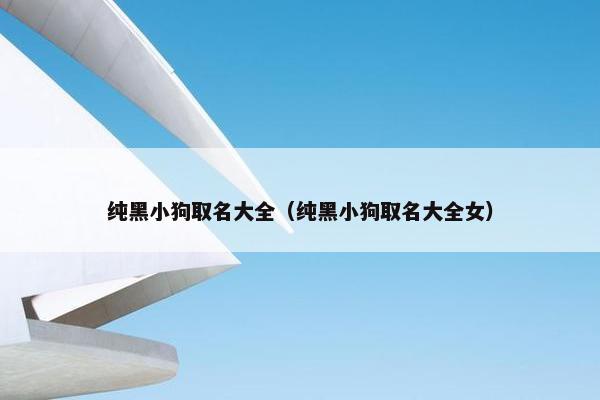 纯黑小狗取名大全（纯黑小狗取名大全女）