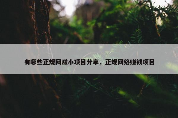 有哪些正规网赚小项目分享，正规网络赚钱项目