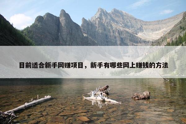 目前适合新手网赚项目，新手有哪些网上赚钱的方法