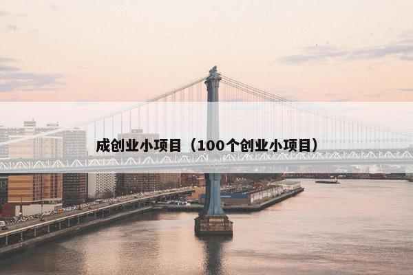 成创业小项目（100个创业小项目）