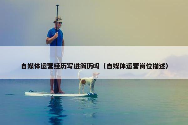 自媒体运营经历写进简历吗（自媒体运营岗位描述）