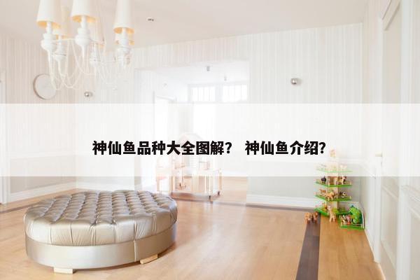 神仙鱼品种大全图解？ 神仙鱼介绍？