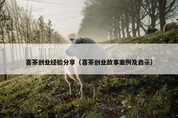 喜茶创业经验分享（喜茶创业故事案例及启示）