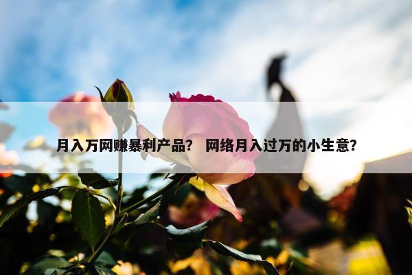 月入万网赚暴利产品？ 网络月入过万的小生意？
