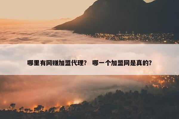 哪里有网赚加盟代理？ 哪一个加盟网是真的？