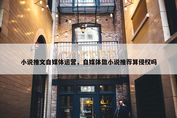 小说推文自媒体运营，自媒体做小说推荐算侵权吗