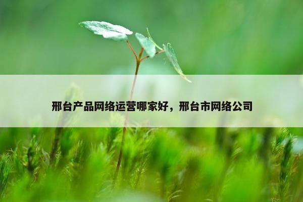 邢台产品网络运营哪家好，邢台市网络公司