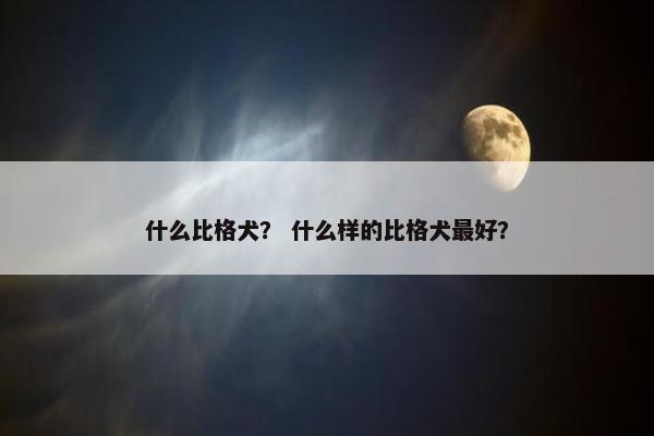 什么比格犬？ 什么样的比格犬最好？