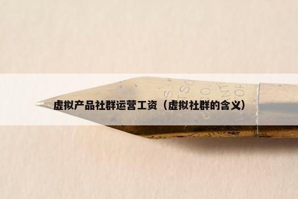 虚拟产品社群运营工资（虚拟社群的含义）