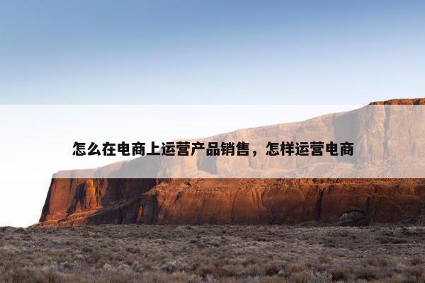 怎么在电商上运营产品销售，怎样运营电商